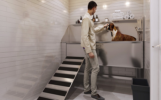 interior pet wash