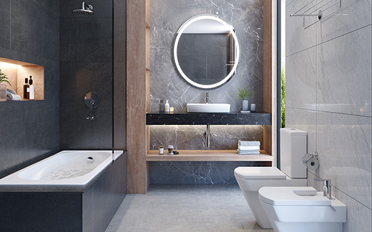 interior bathroom Hall